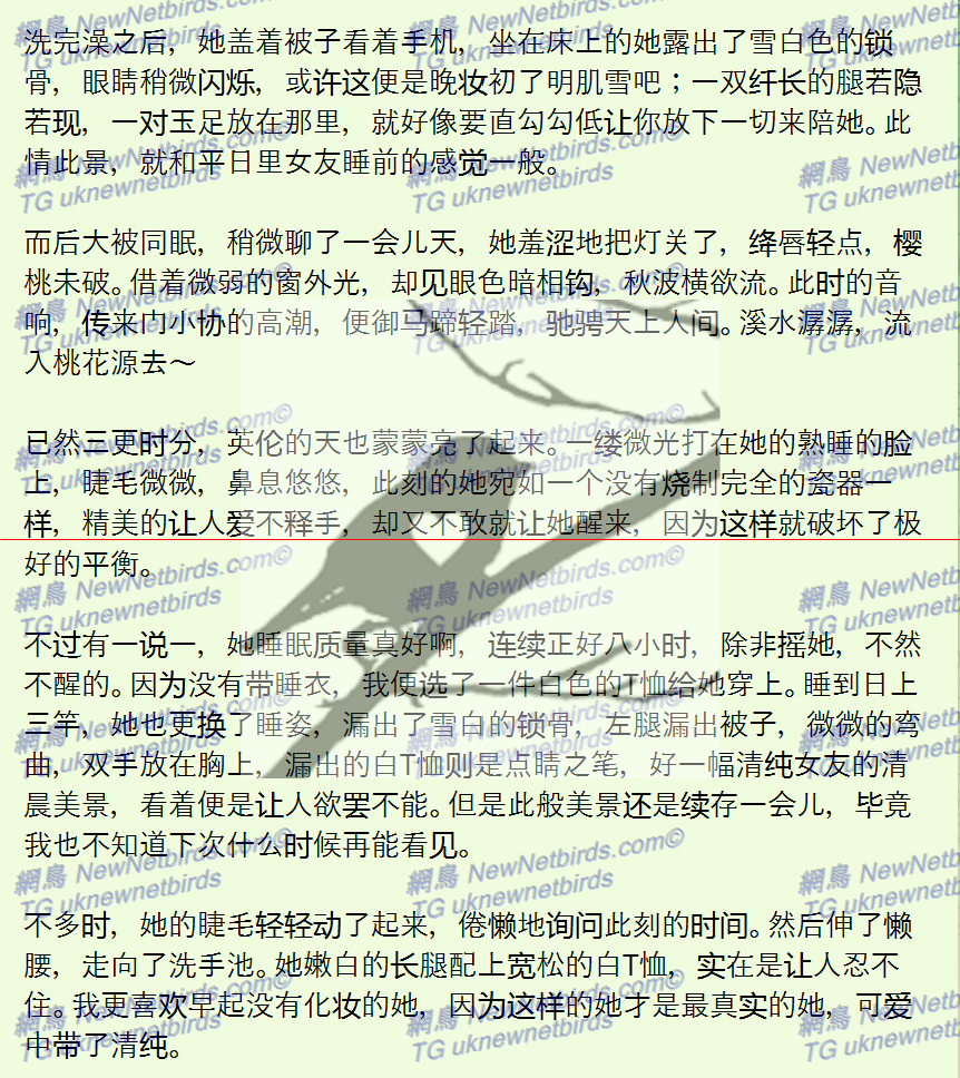 戰號 265 2.png